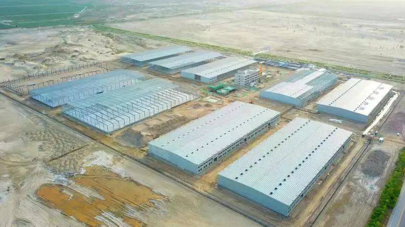 助推农副产品精加工 做强现代农业“新引擎”