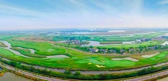 市民纷纷点赞 绿满“北国”皆风景