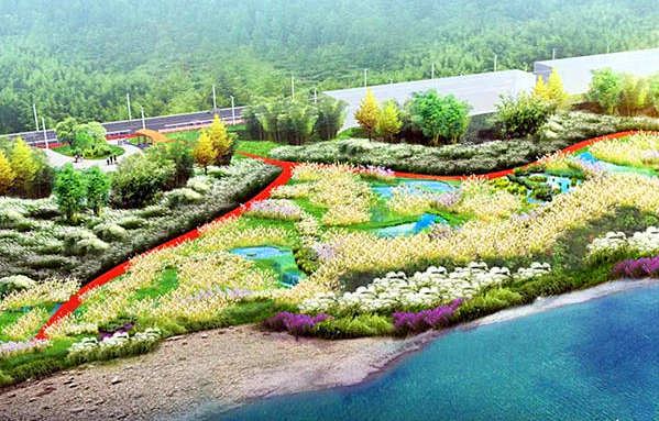 用实际行动守护绿水青山