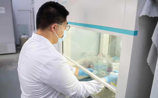 农林师生织密生态 “防护网” 科学防治攻坚外来入侵杂草