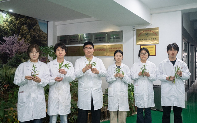 农林师生织密生态 “防护网” 科学防治攻坚外来入侵杂草