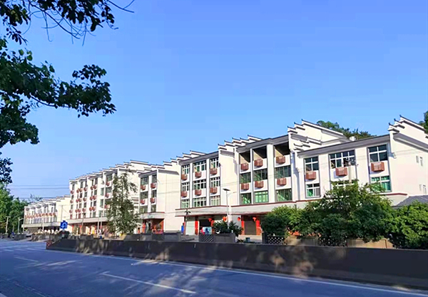 “盆景”变“花园”，革命老区旧貌换新颜