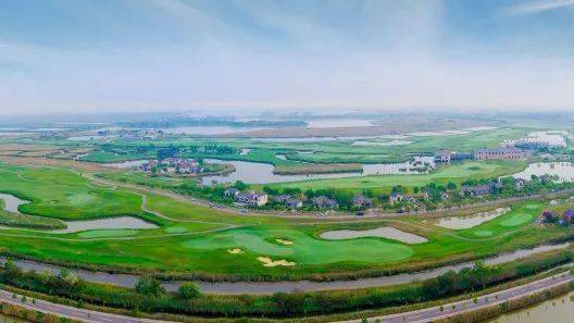 绽放“江南”之春，邂逅“醉”美湿地