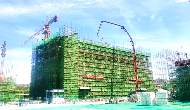 建好“菜篮子” 为脱贫攻坚增光添彩