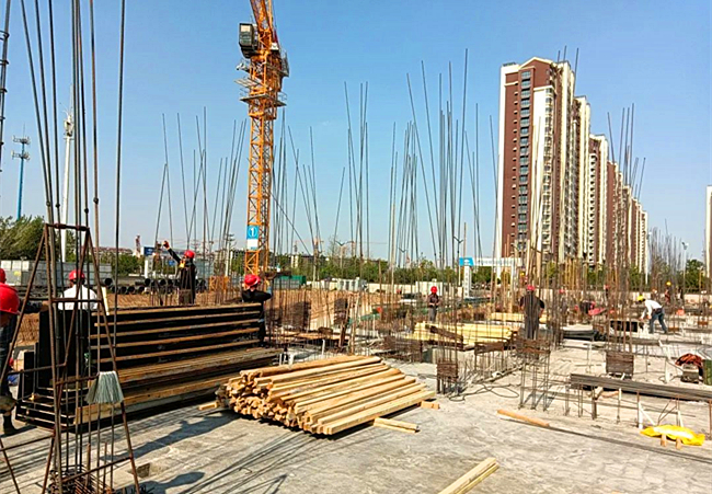 工地“啄木鸟” 安全“守护神”