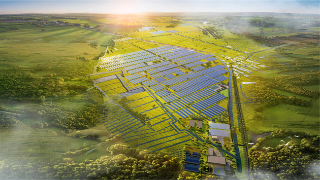 发展特色产业促增收，点亮乡村振兴致富路