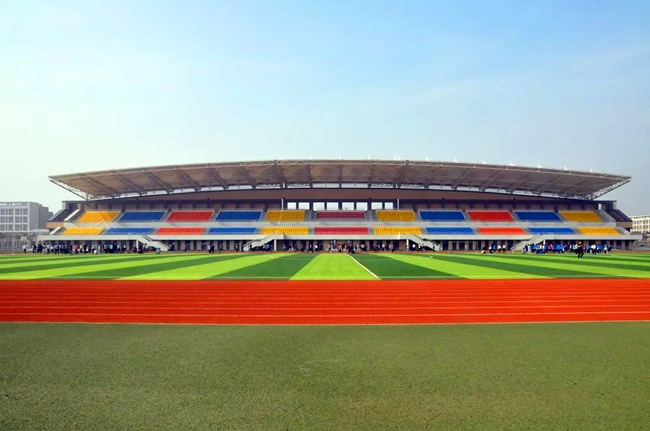 让文化的种子 在校园中“向阳生长”