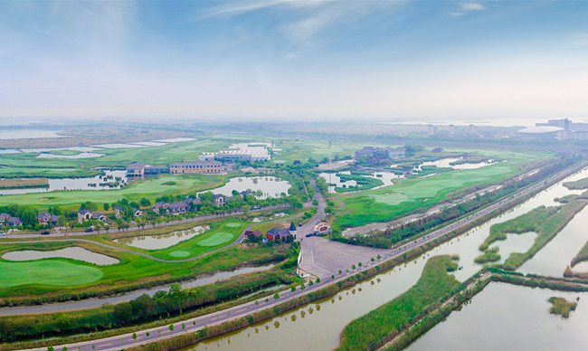 共筑鸟类的生态“伊甸园”