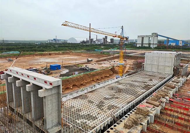 多方联动 通力合作 项目建设显成效