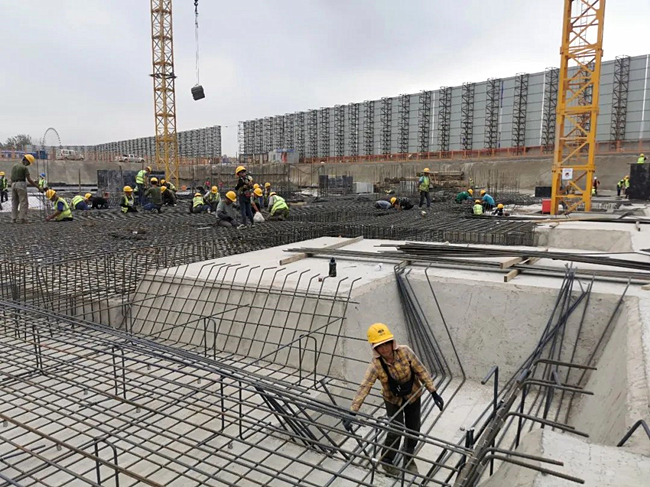 践行被动式建筑 打造绿色低碳“新样本”